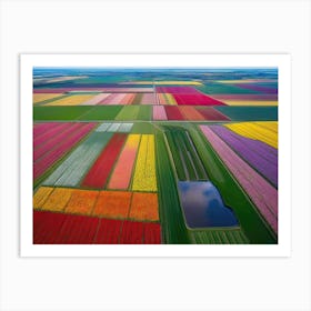 Tulip Fields Bird's Eye View Art Print