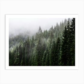 Misty Forest Art Print