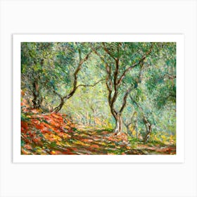 Claude Monet, Olive Tree Wood in the Moreno Garden, 1884 HD Original Reproduction - Immaculate Vibrant Art Print