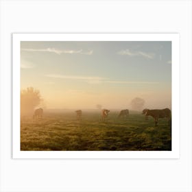 Sunrise In The Field With The Cows Art Print