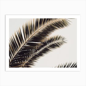 Boho Palm Leaves Art Print