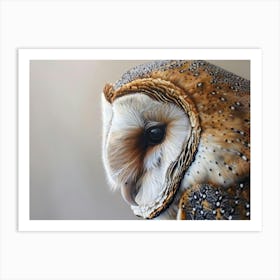 Barn Owl 18 Art Print