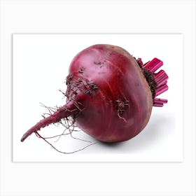 Beetroot isolated on white background. 9 Art Print