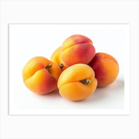 Apricots 16 Art Print