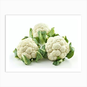 Cauliflower 14 Art Print