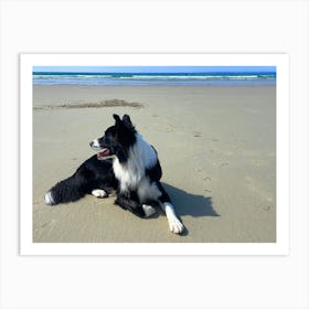 Border Collie On The Beach 1 Art Print