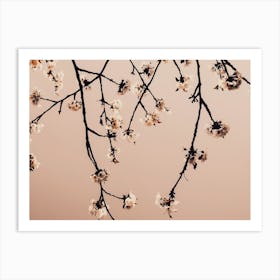 Branches 2 Art Print