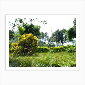 Garden 8 By Binod Dawadi Art Print