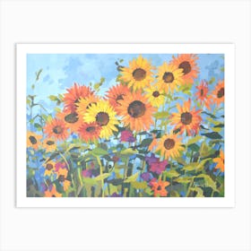 Sunflower Filed2 Art Print