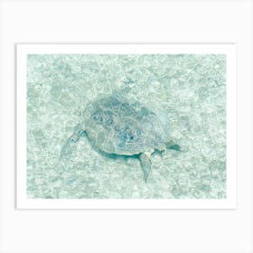 Turtle In The Sea Close To Borneo Art Print