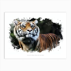 Taronga Zoo Sydney, Sydney, New South Wales Art Print