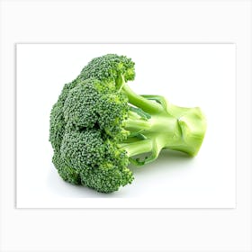 Broccoli Art Print