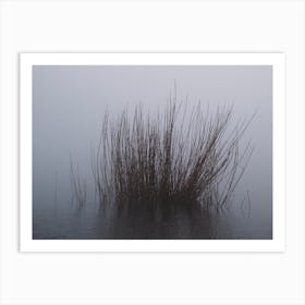 Shapes In The Mist Art Print