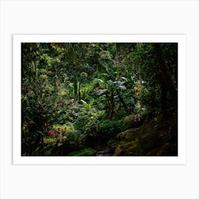 Bali, 7 Art Print