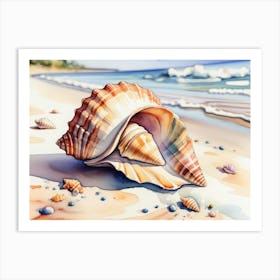Seashell on the beach, watercolor painting 19 Art Print