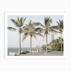 Palm Trees On The Beach In Jeddah Art Print