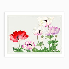 Chinese Poppies Art Print