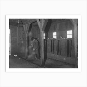 Lee Wagoner Sweeps Up His Milking Barn, Black Canyon Project, Canyon County, Idaho By Russell Lee Art Print