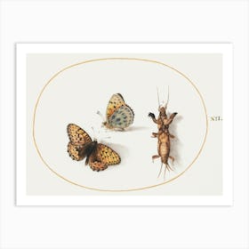 Two Views Of A Butterfly And A Mole Cricket (1575–1580), Joris Hoefnagel Art Print