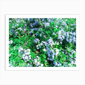 Natural fresh flowers and green plants 4 Art Print