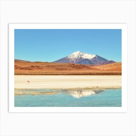 Flamingo lake reflection of snow-capped volcano Art Print