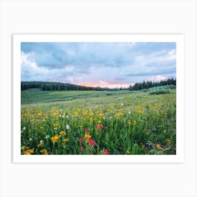 Flower Meadow Sunset Art Print