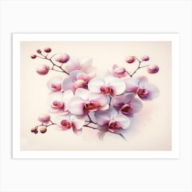 Orchids On Pink Art Print