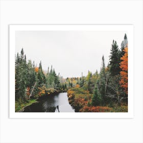 Forest Creek Art Print