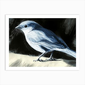 Blue Bird 2 Art Print