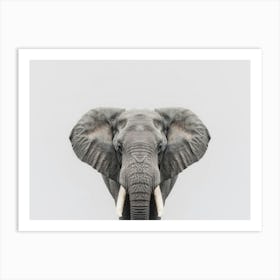 Elephant Canvas Art Art Print