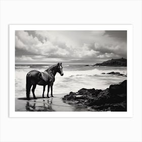 A Horse Oil Painting In Kaanapali Beach Hawaii, Usa, Landscape 4 Art Print