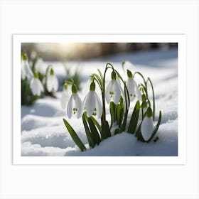 Snowdrops 1 Art Print