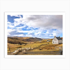 Sheep In Scotland (Scotland Series) Art Print