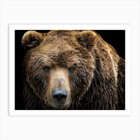 Grizzly Bear Art Print