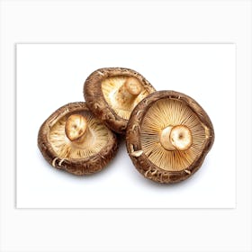 Mushrooms On A White Background 3 Art Print