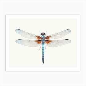 Dragonfly Blue Eyed Darner Aeshna Illustration Minimal 2 Art Print