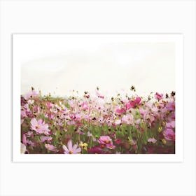 Pink Cosmos Art Print