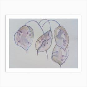 Seedpod Violet Gentle Breeze  Art Print