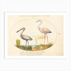 Flying And Amphibious Animals, Joris Hoefnagel 2 Art Print