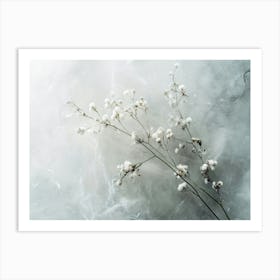 White Flowers On A White Background Art Print