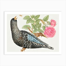 Bird With Roses Art Print