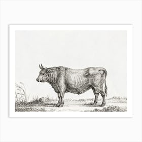 Standing Bull 2, Jean Bernard Art Print