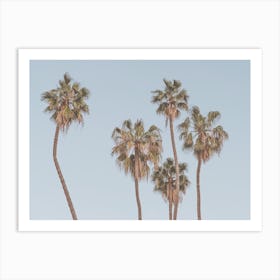 Palm Trees At Beach Art Print