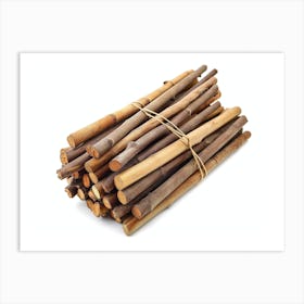 Bamboo Sticks 2 Art Print