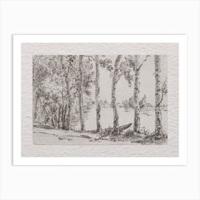 Grove Of Trees Art Print