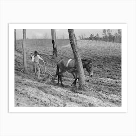 Spring Plowing In Cut Over Region Of East Texas Near Harleton, Texas By Russell Lee Art Print