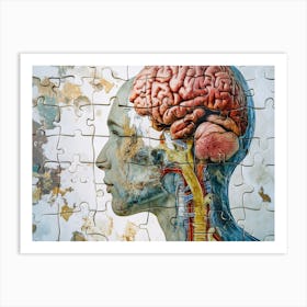 Human Brain Art Print