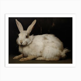 Vintage Rabbit Painting Art Print