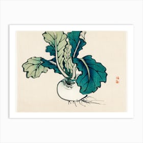 Radish, Kōno Bairei Art Print