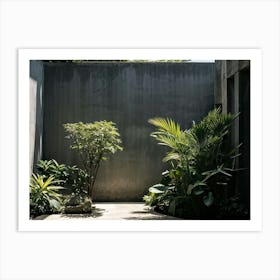 Nature Petiole Art Sunshine Black Up High Overlay Concrete Shadowy Floral Light Natural (14) Art Print